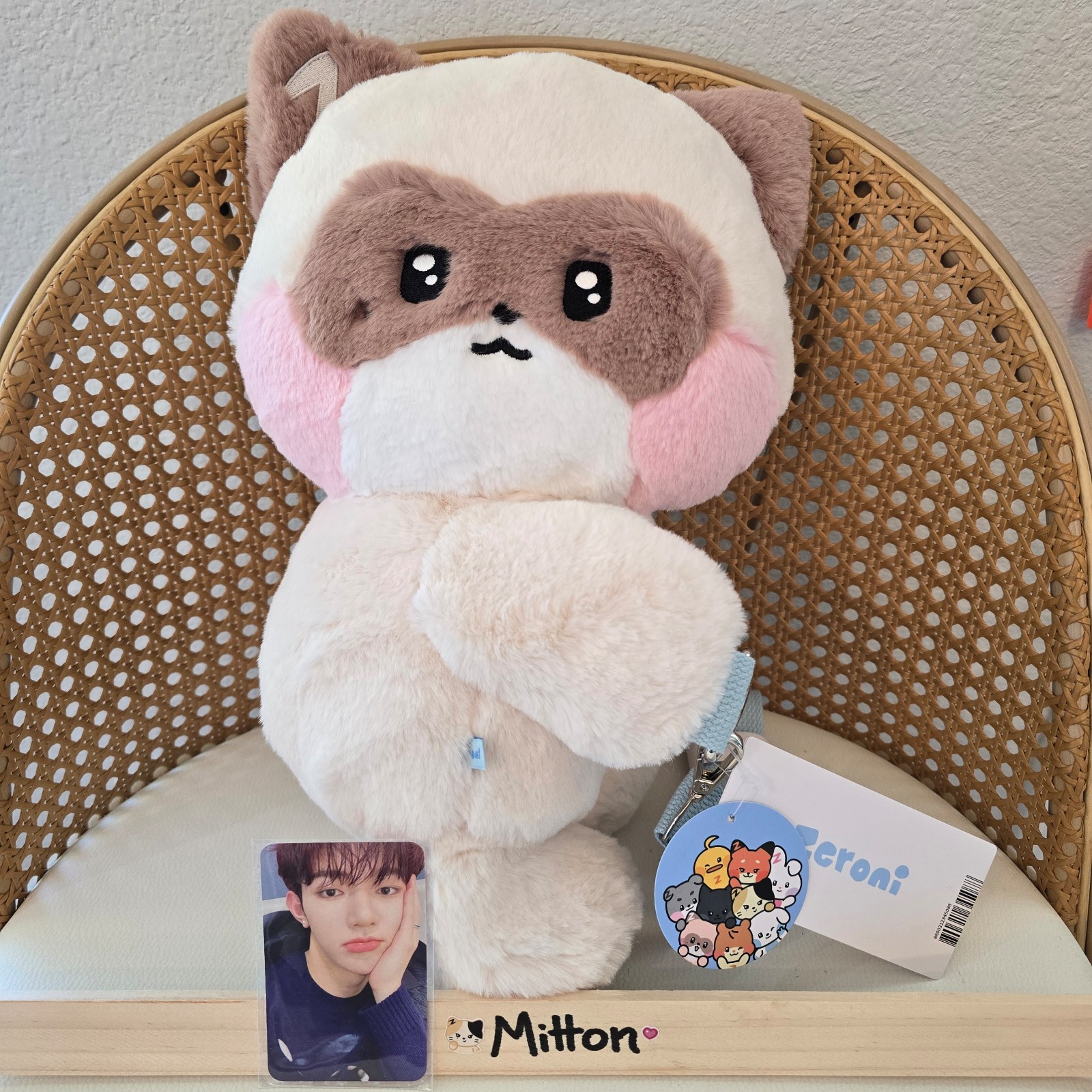 ZB1 - ZHANG HAO - Zeroni Hanini Plush Bag | Mercari