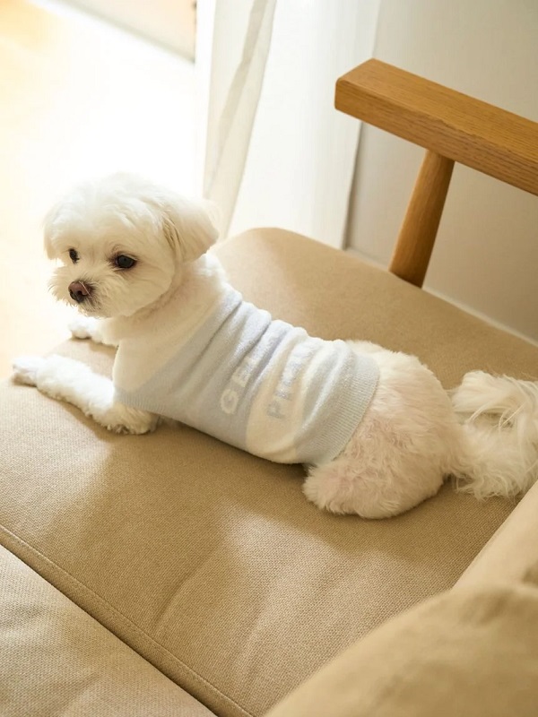 gelato pique（ジェラートピケ）【CAT&DOG】【販路限定商品】スムー