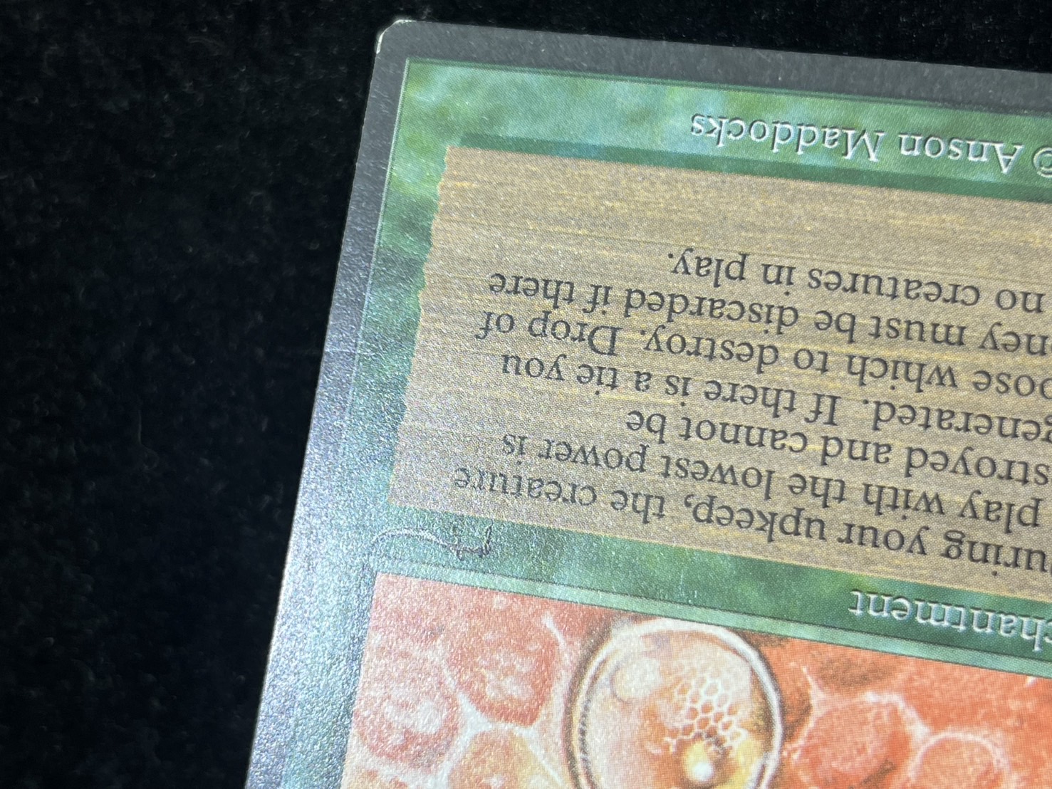 EX]Drop of Honey《英語》【ARN】#274