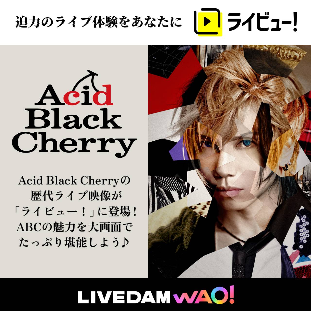 Acid Black Cherry [ABC] Official Web Site ||||