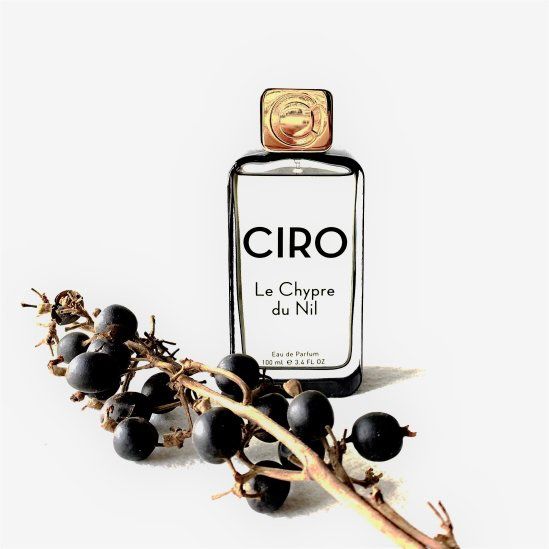CIRO - 【残りわずか】Eau De Parfum 100ml(LE CHYPRE DU NIL