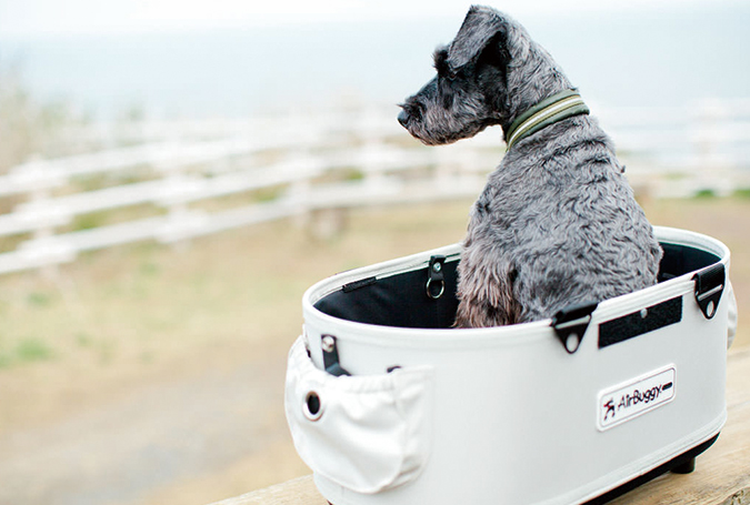 DOME2 COT SM | AIRBUGGY FOR PET