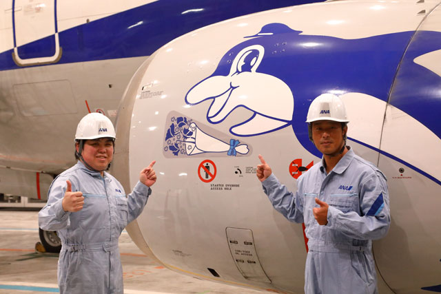 ANA、737-500に退役記念デカール スーパードルフィン3機に