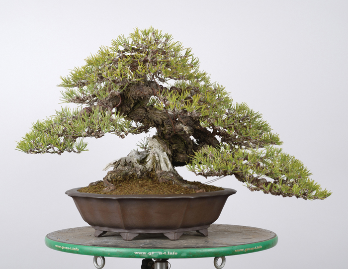 油圧式回転作業台Green-T（丸型ベーシック） | 盆栽、盆栽書籍、盆栽鉢