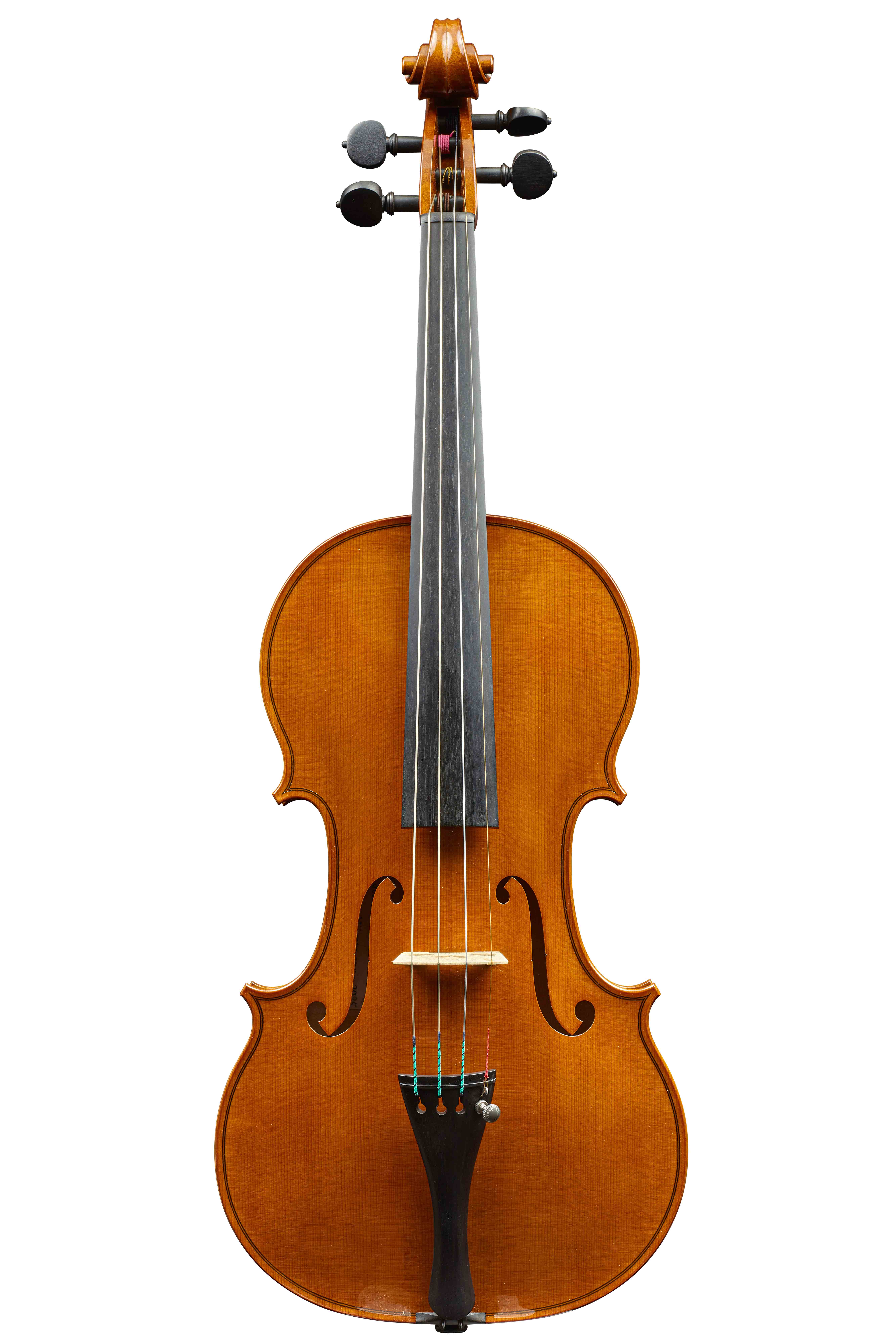 Pygmalius STANDARD | BUNKYO GAKKI