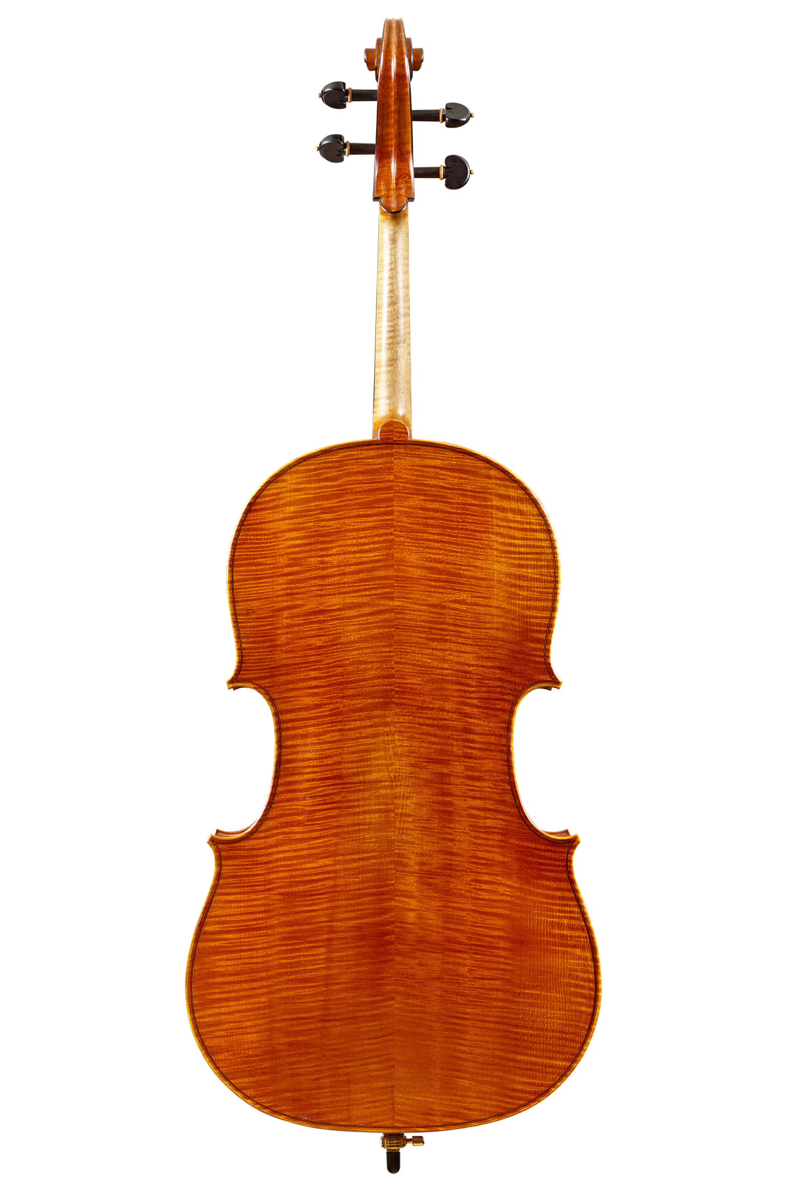 特注ピグマリウス ペル・ソリスタ 