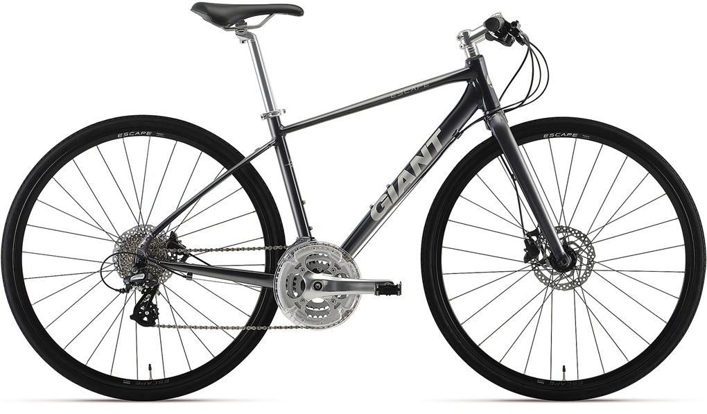 2019 GIANT Bicycles | ESCAPE R DISC (2020 NEW)