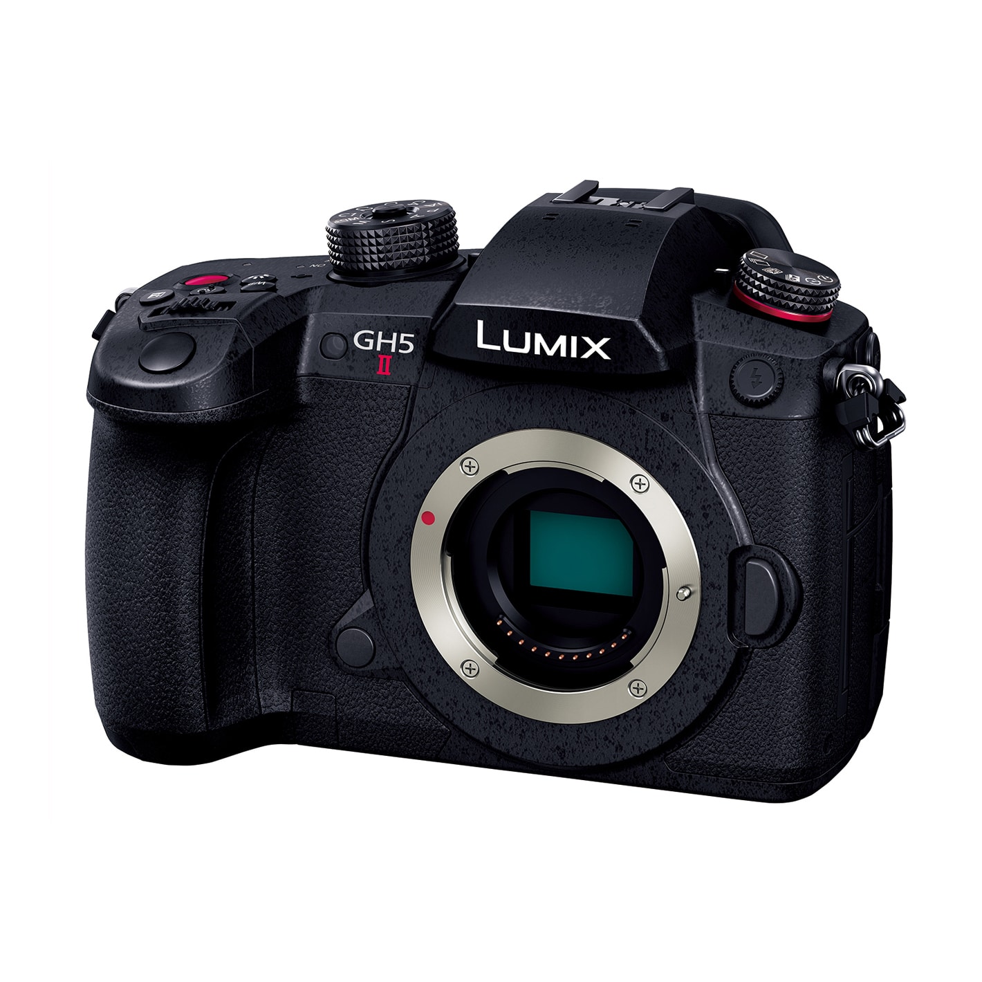 Panasonic(パナソニック) LUMIX GH5II デジタル一眼カメラ ボディDC