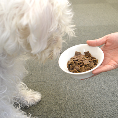 エアドライ・ドッグフード NZマッカロー＆ラム ZWPKDNM1-00 | ジウィ