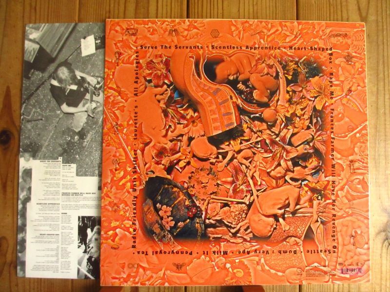 Nirvana / In Utero - Guitar Records