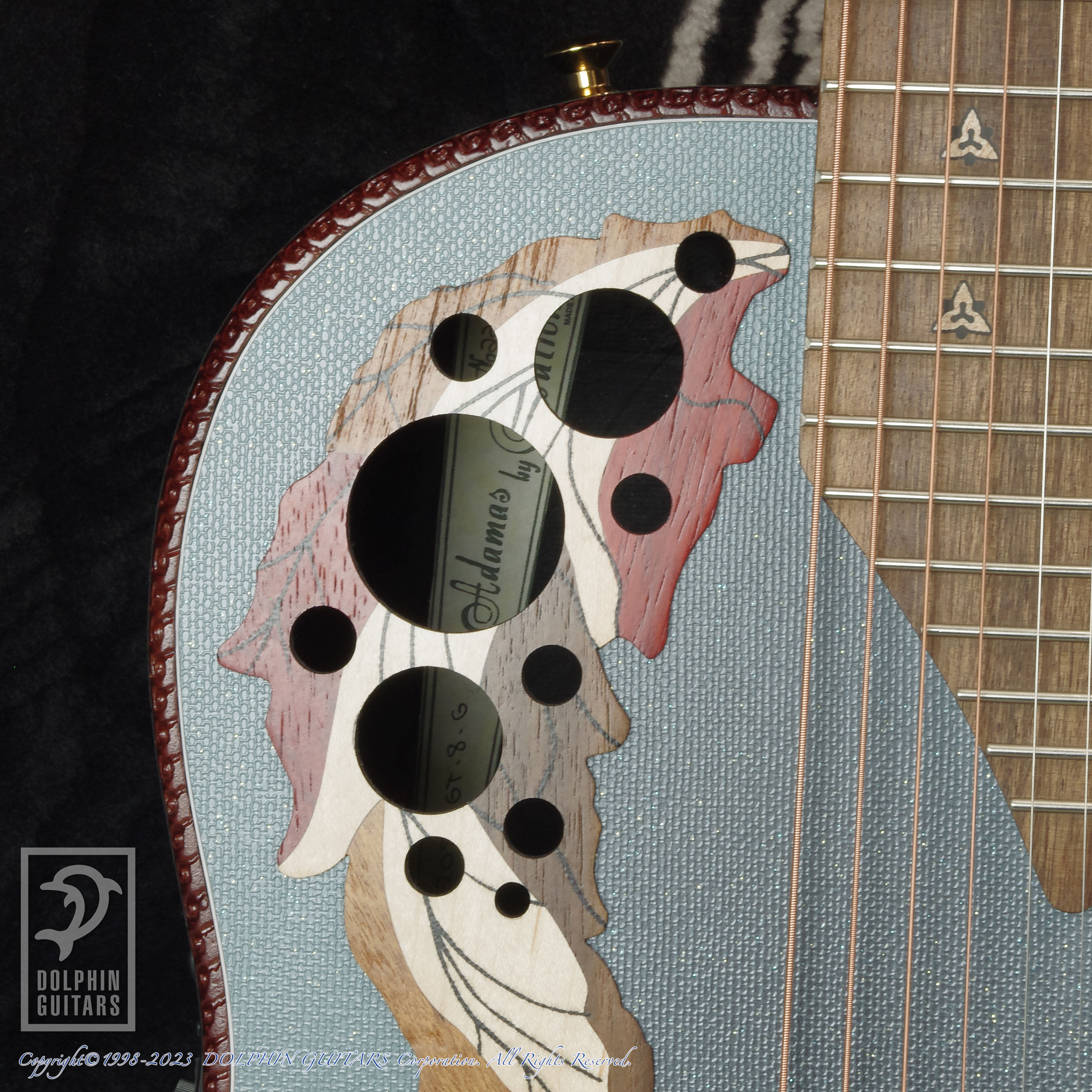 OVATION Adamas OC2087GT-8 RBB|ドルフィンギターズ