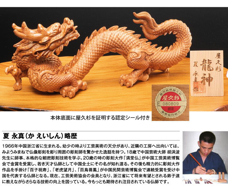 屋久杉 龍神 りゅうじん ー 三宝堂オンラインショップ