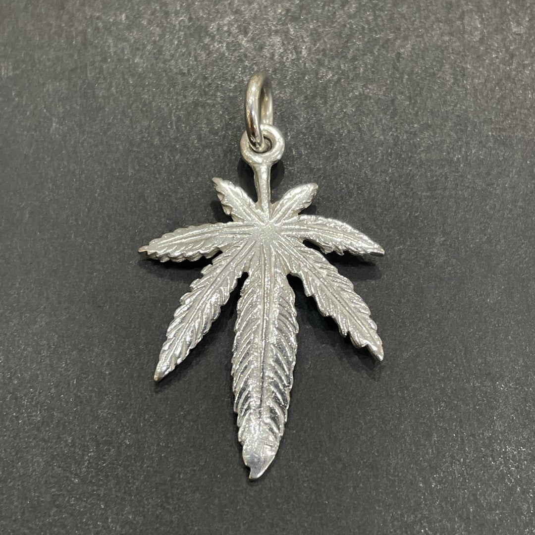 IMG_12641_1080x.jpg?v=1724385799