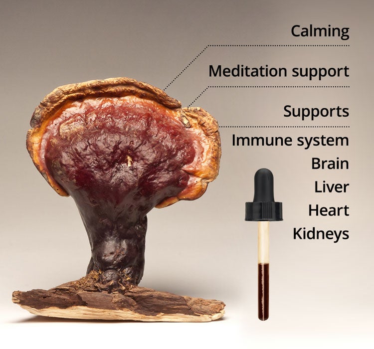 Wild Red Reishi Drops