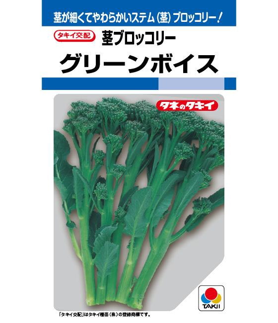 グリーンボイス[茎ブロッコリー] - e-種や｜国内最大級の野菜種・花種
