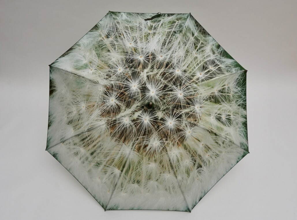 コシラエル(Coci la elle) ニュース一覧 - ファッションプレス