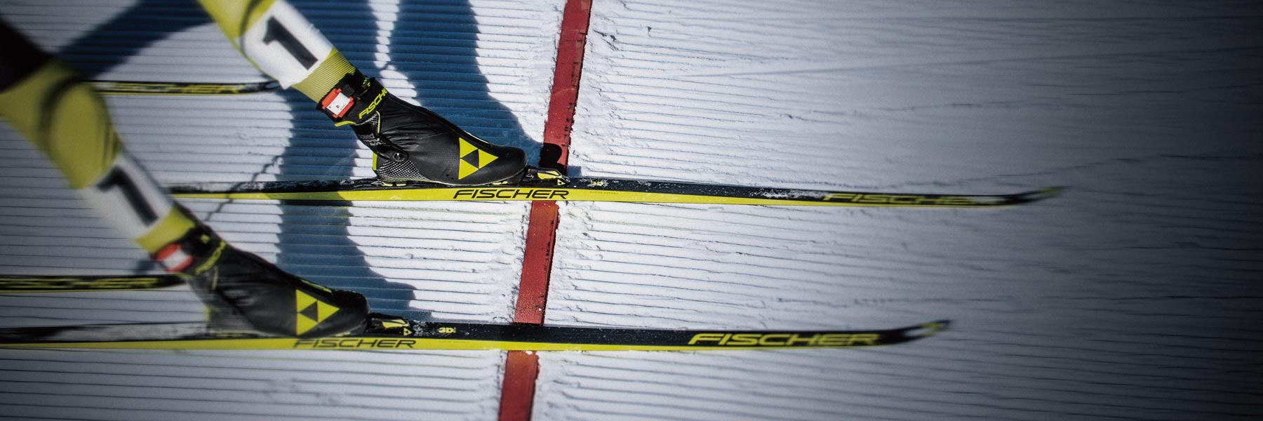 ノルディックスキー｜FISCHER（フィッシャー） 公式サイト - GOLDWIN