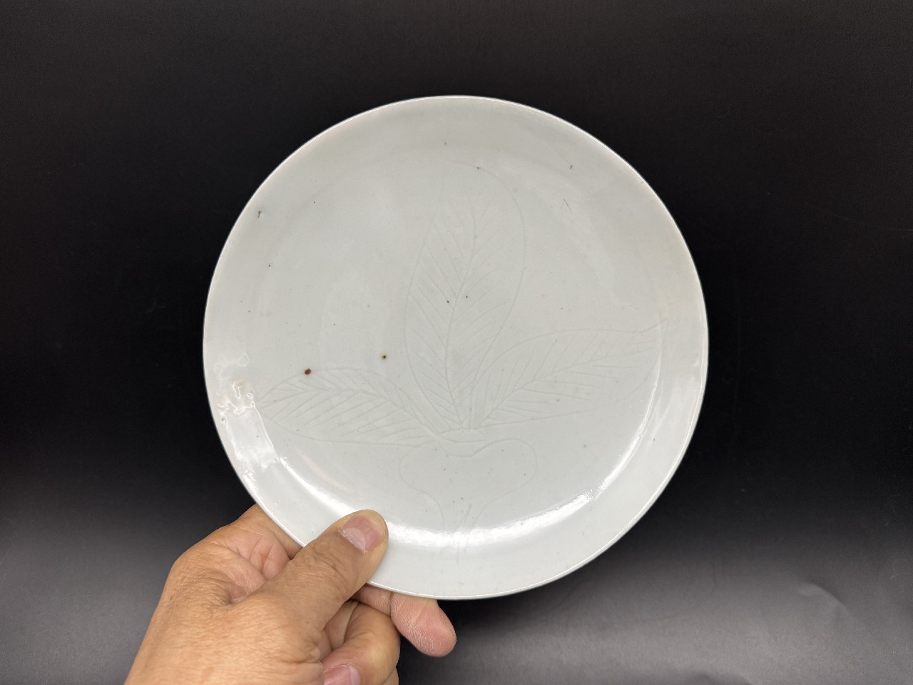 ギャラリー安原 / 初期伊万里 白磁 蕪文中皿