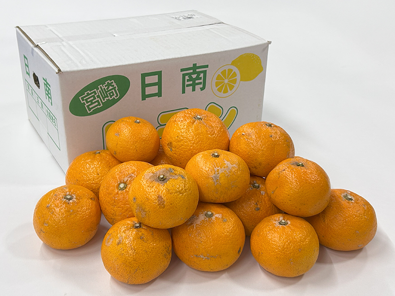 山本密柑園 津之輝 (つのかがやき) みかん 宮崎県日南 | G-Call