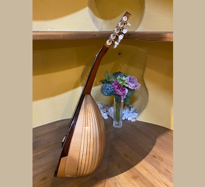 M-30 マンドリン鈴木バイオリン ｜ G-Call ふるさと納税