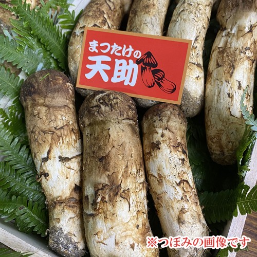 国産まつたけ 松茸 つぼみ 天助 | G-Callショッピング