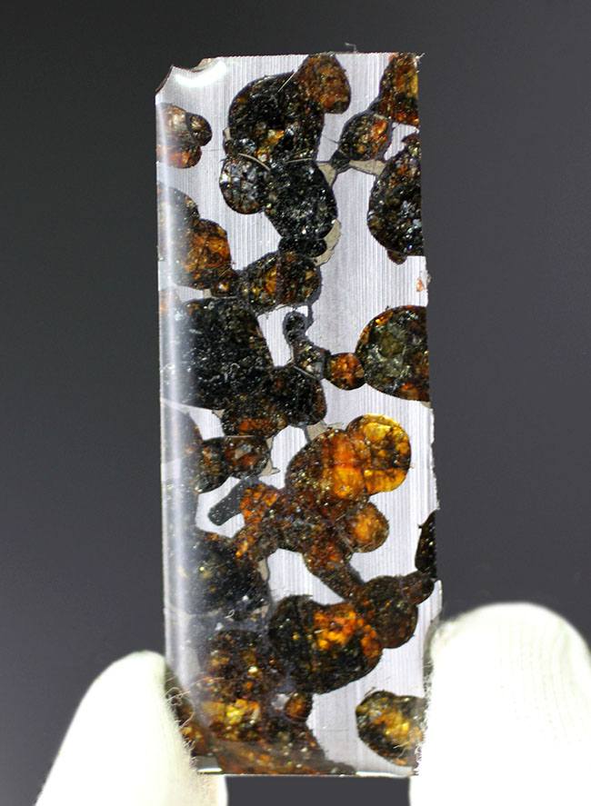 2016年発見、ケニヤ・セリコ産のパラサイト隕石。世界で最も美しい