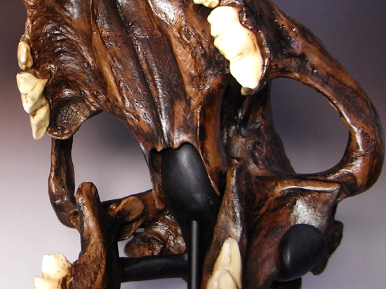 恐竜没後の百獣の王：サーベルタイガーのレプリカ（アンティーク