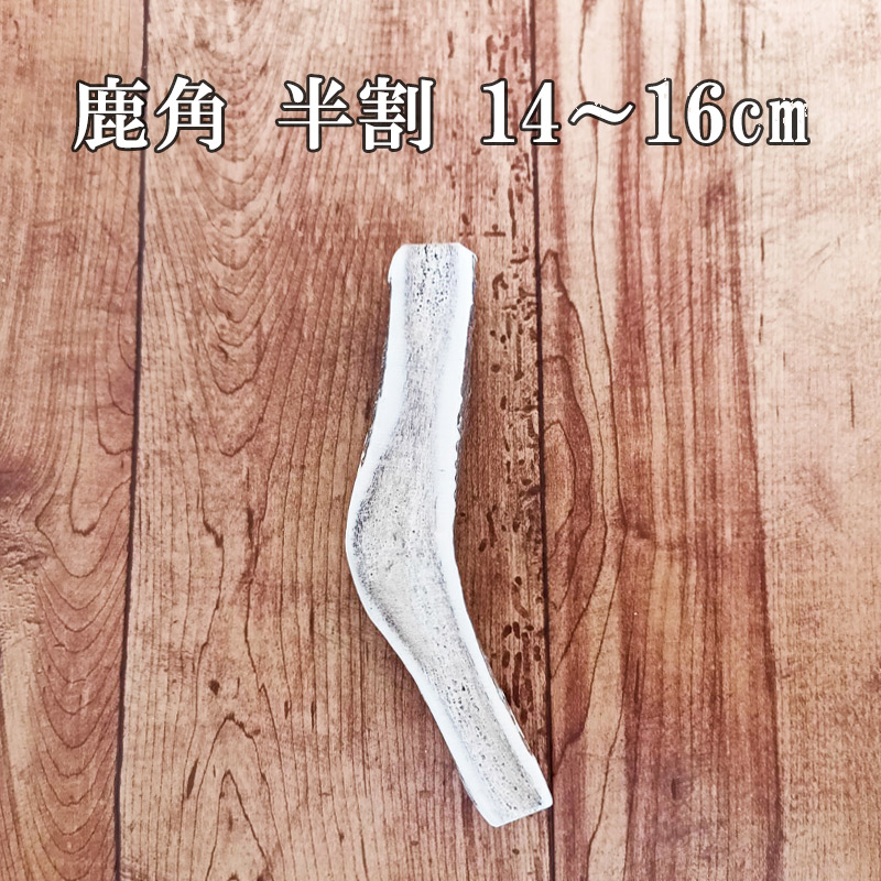 セール対象]鹿角 14-16cm 半割カット 1本 【ネコポス送料無料