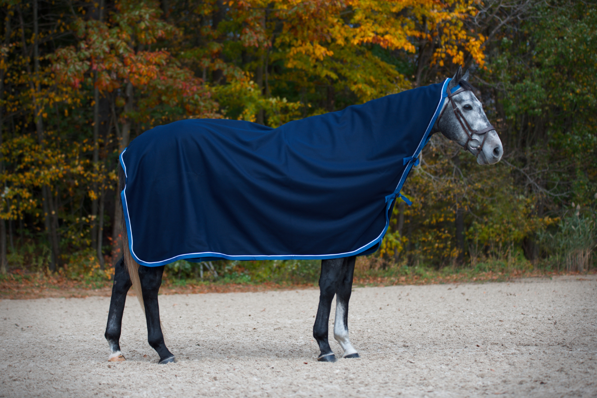 The Wool Cooler – Saratoga Horseworks