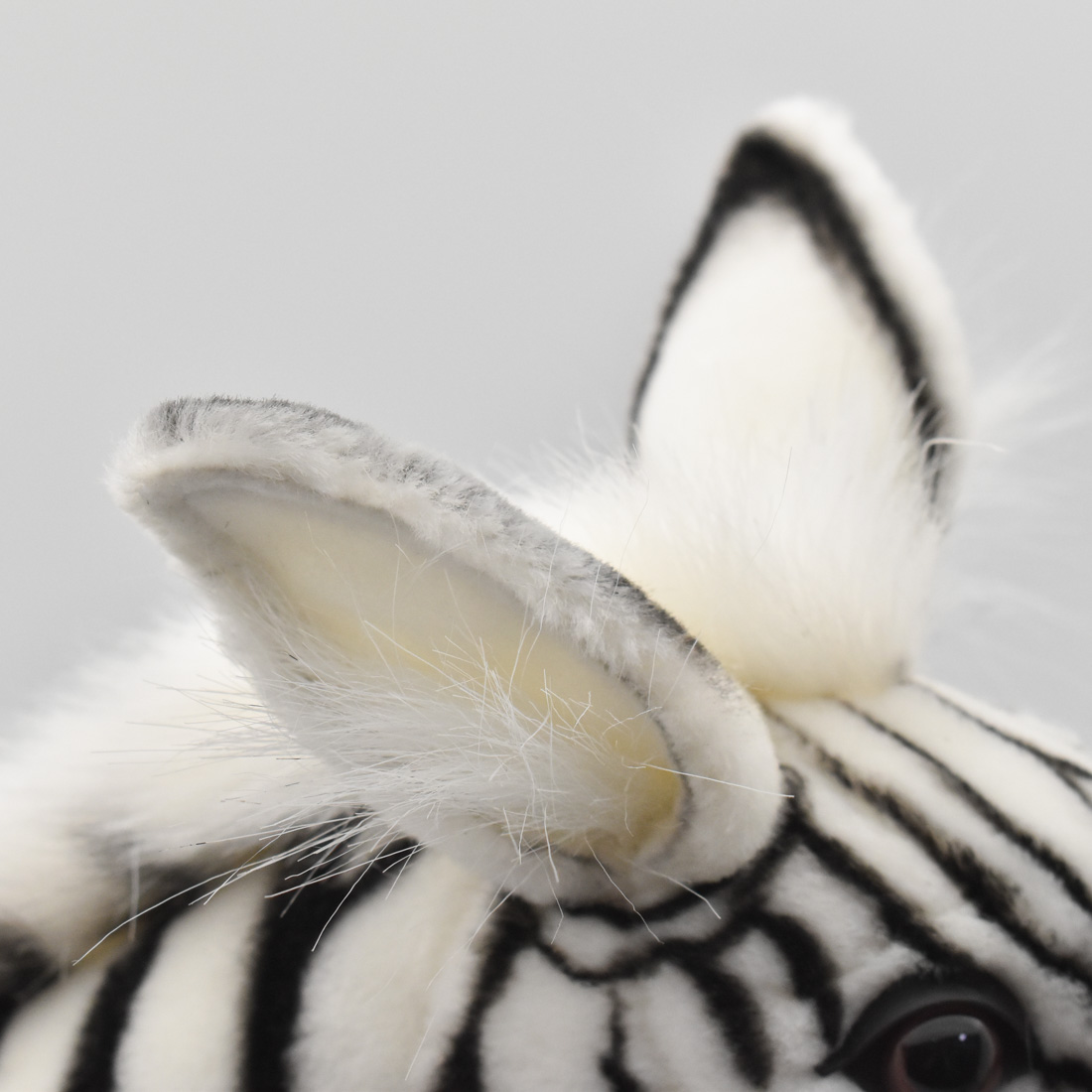 シマウマ 48 | HANSA