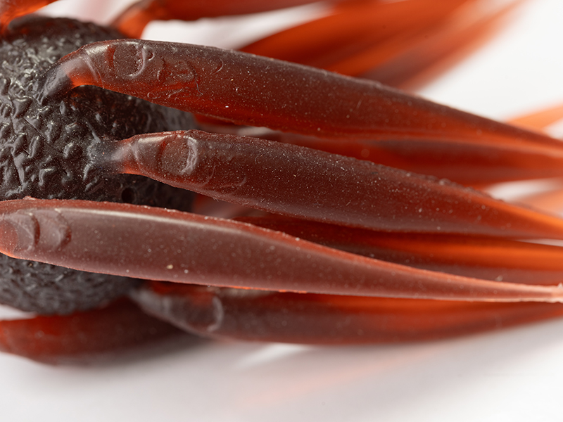 コイケ フィッシュL エラストマー HIDEUP ハイドアップ