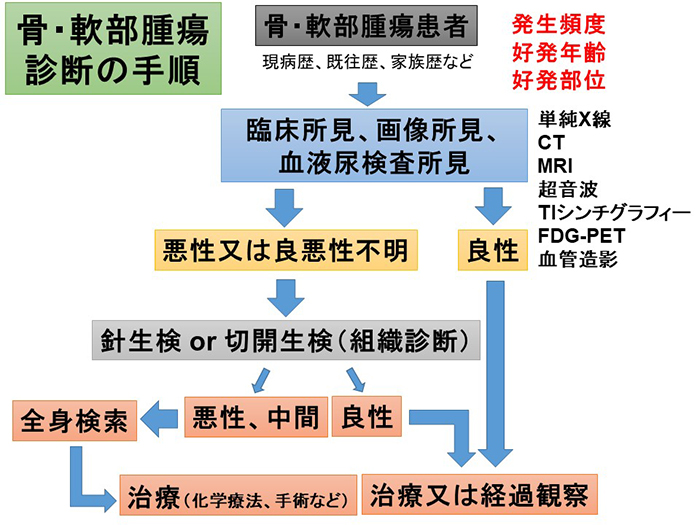 骨・軟部腫瘍紹介｜診療案内｜弘前大学大学院医学研究科 整形外科学講座