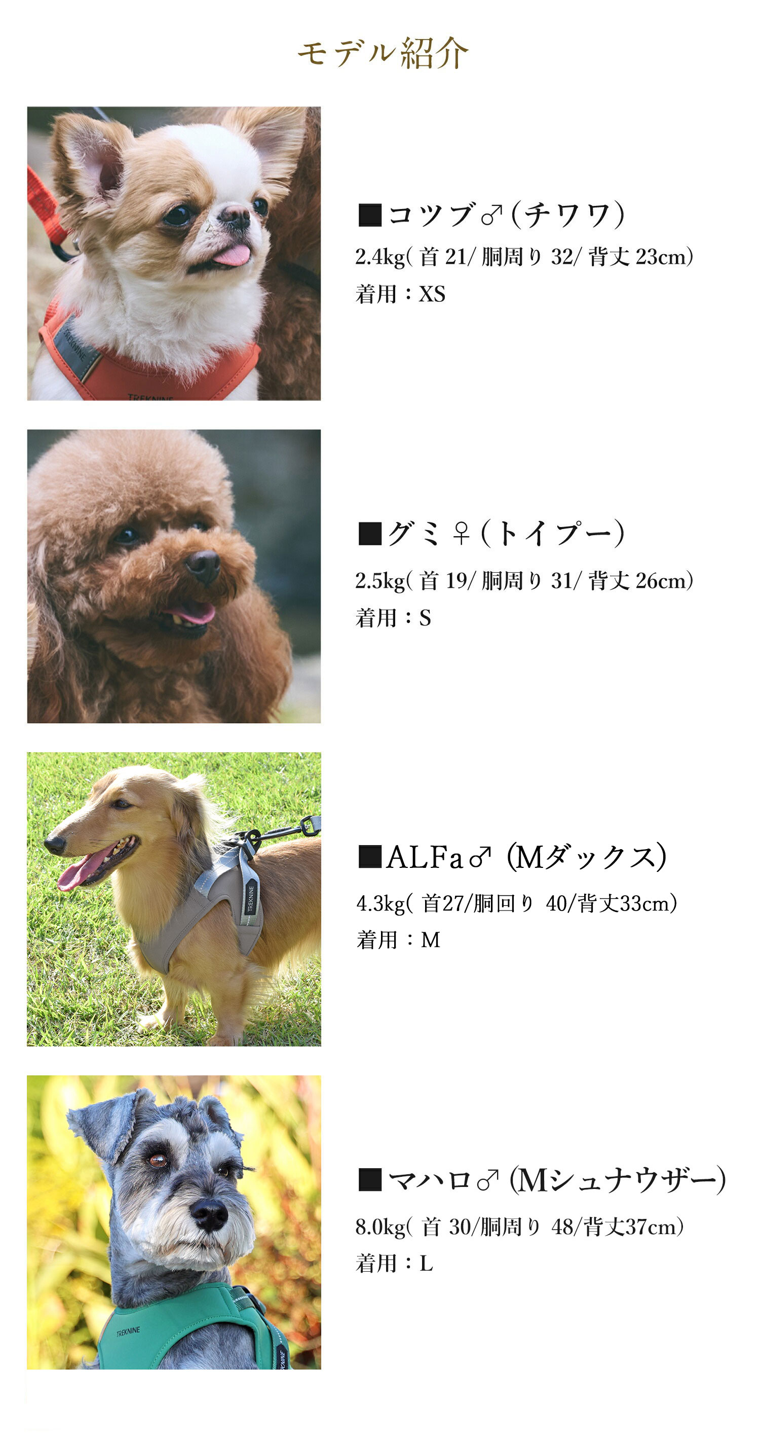 iDog TREKNINE ハーネス コンフォートAIR ベストM/Lサイズ トレック