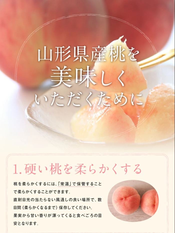 山形県産玉うさぎ白桃 約3kg: JAてんどうフーズ|【JAタウン】産地