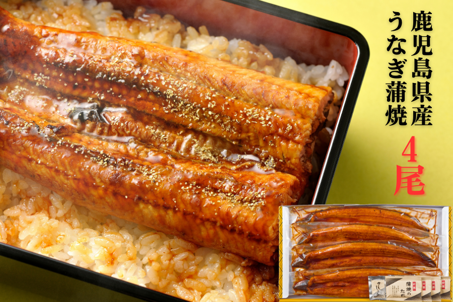 有頭】鹿児島県産うなぎ蒲焼4尾: JA鹿児島県経済連 鹿児島の味