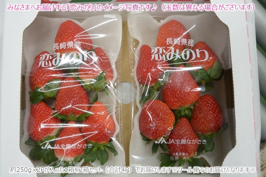 B 長崎県産 恋みのり（いちご）2箱（大玉約250g×4P）JA島原雲仙