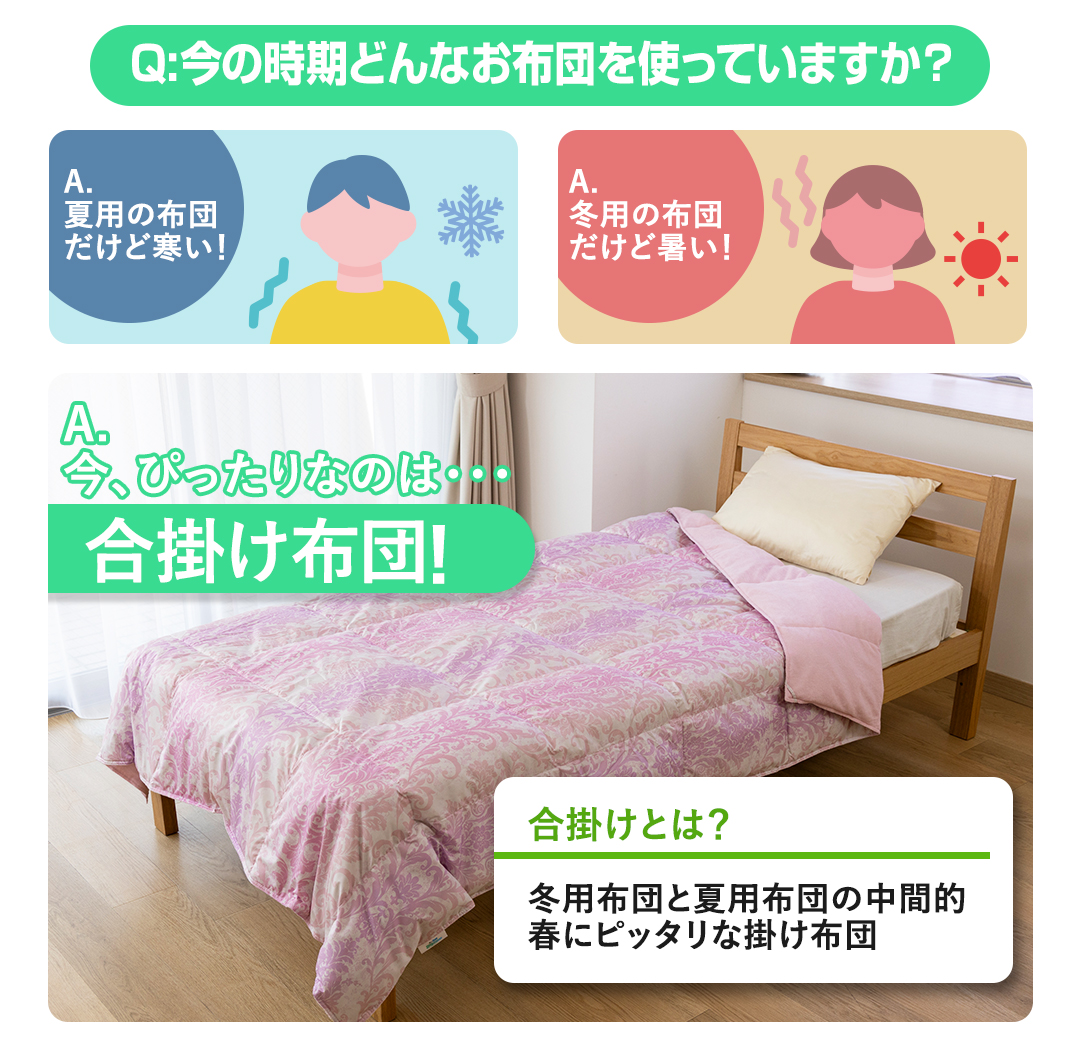 モリリン 布団・快眠グッズ フランス産羽毛 洗える合掛け布団 ピンク