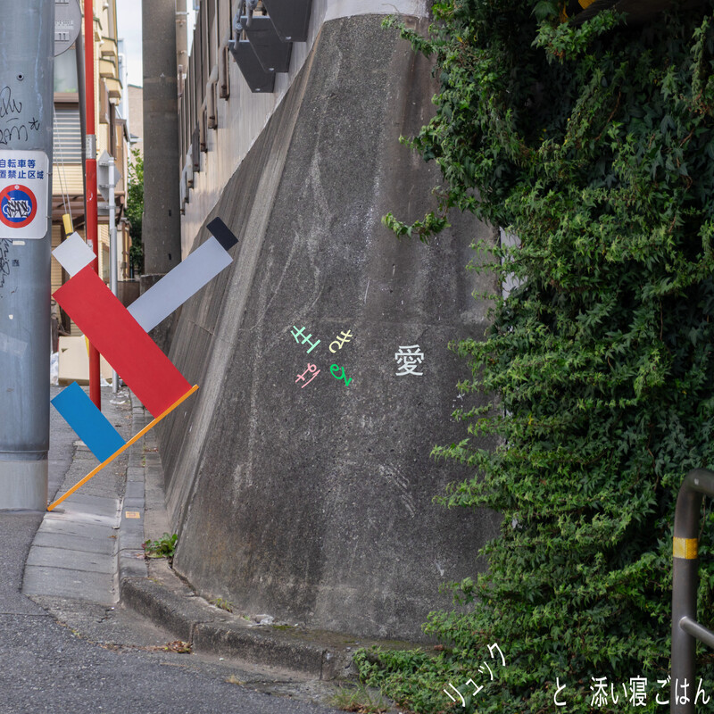 VARIOUS | WHERE, WHO, WHAT IS PETROLZ? 完全生産限定盤 | ビクター