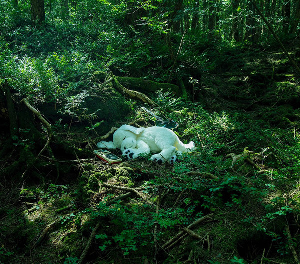 藤原 ヒロシ | ディスコグラフィー | ビクターエンタテインメント