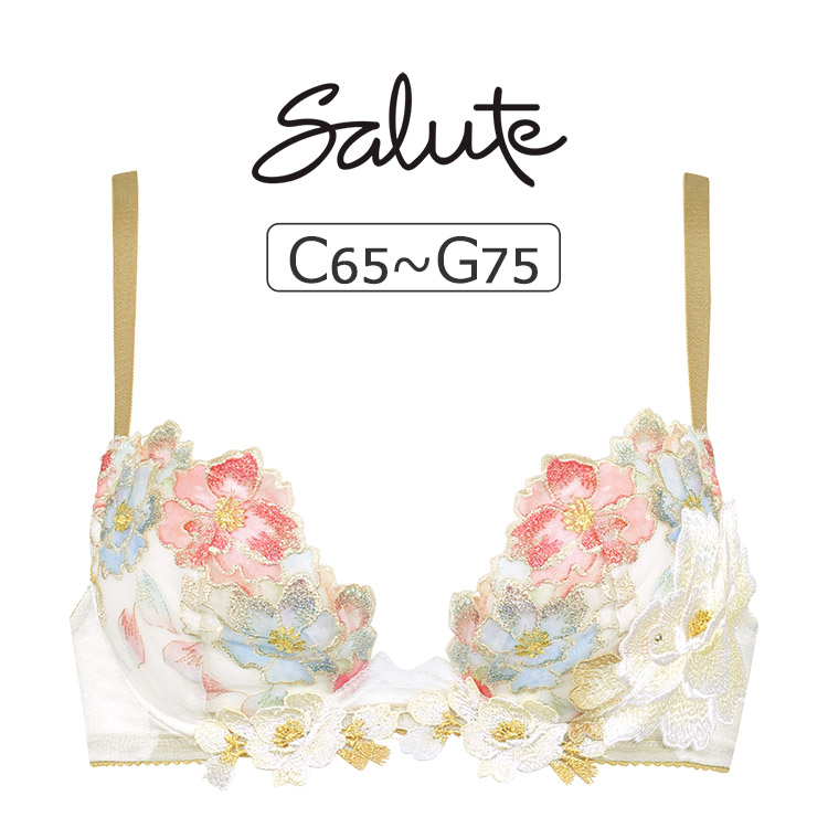 BTJ703｜ワコール サルート 03G ブラジャー単品 フロントエックス