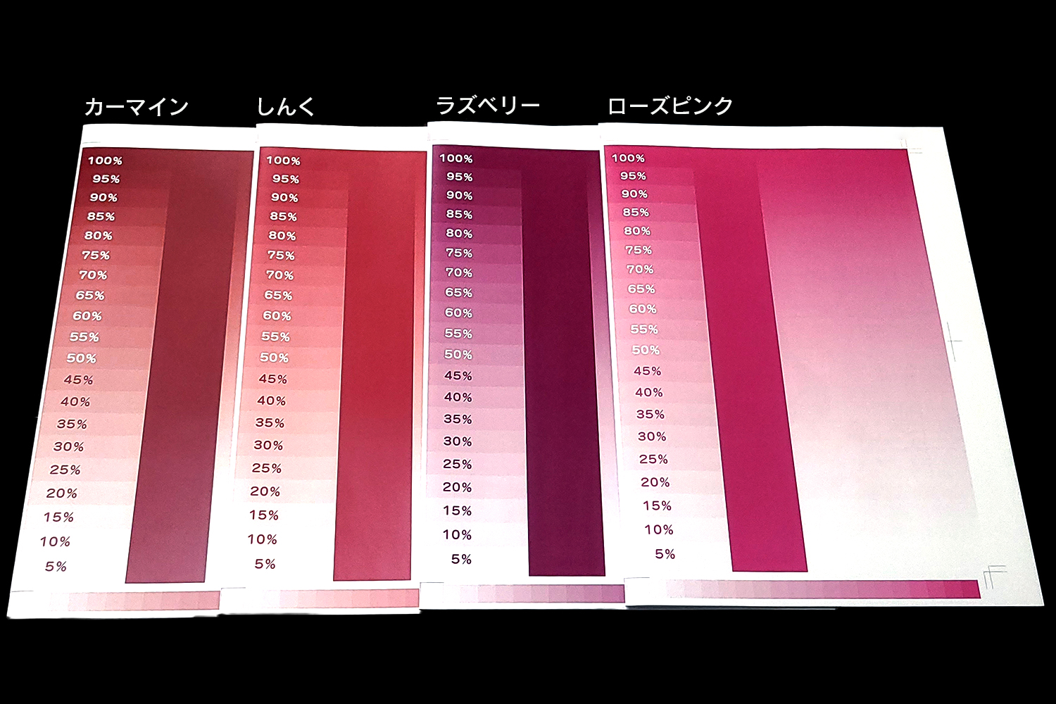 RGBビビッドカラー版】ミランダPPセット(本文単色ダークカラー) | 冊子