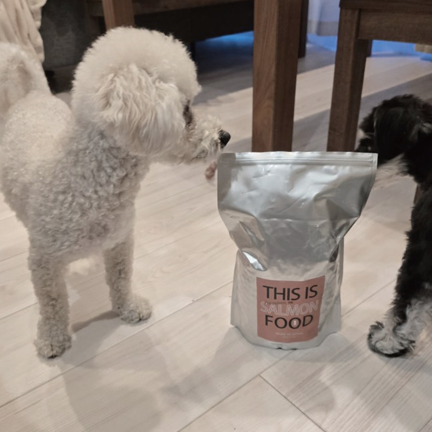 初回お試し送料無料【サーモン】シュナウザー・テリア専用ドッグフード