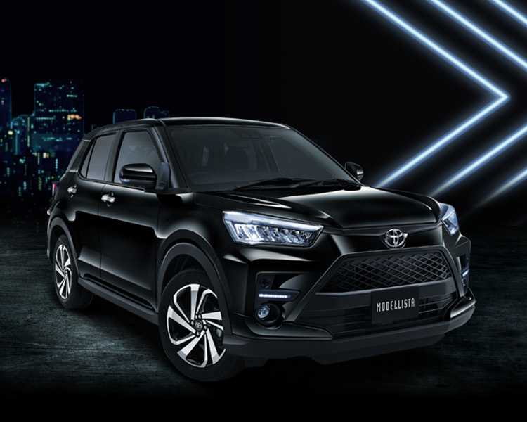 RAIZE（ライズ） MODELLISTA ADVANCE BLAST STYLE カスタマイズ