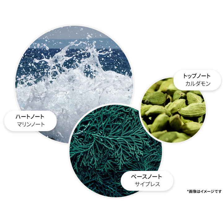 サイプレス＆シーフェンネル オードトワレ 100ml – MOLTON BROWN