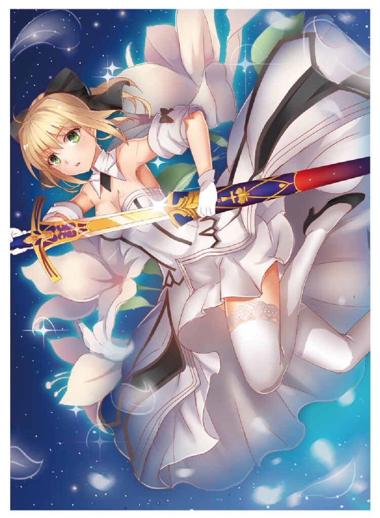 あみあみ セイバー スリーブ fate Blu-ray 特典 中古 あみあみ