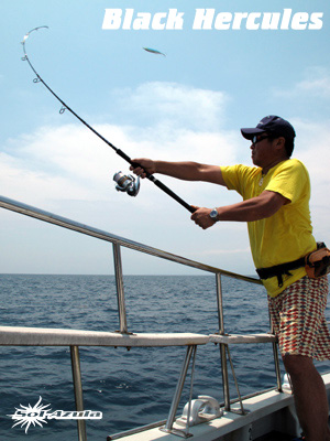 マングローブスタジオ　Black Hercules 7955S Mangrove Studio > Black Hercules /7-7.9ft