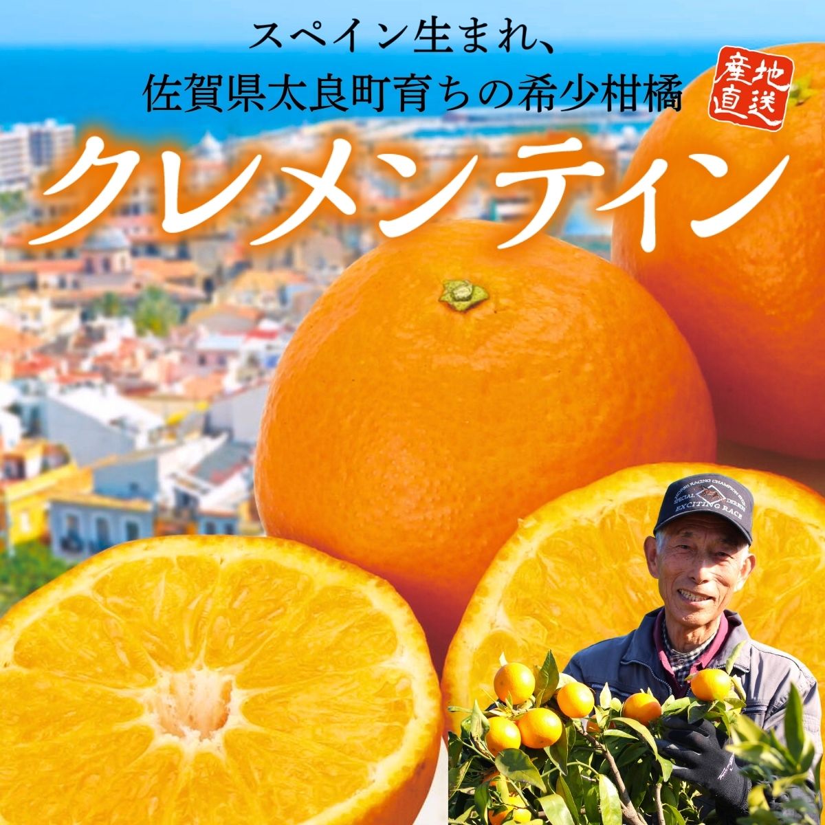 クレメンティン】希少な柑橘を佐賀県太良町より通販でお取り寄せ
