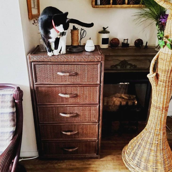 5段ラタンチェスト | 籐家具職人の店みうらラタン