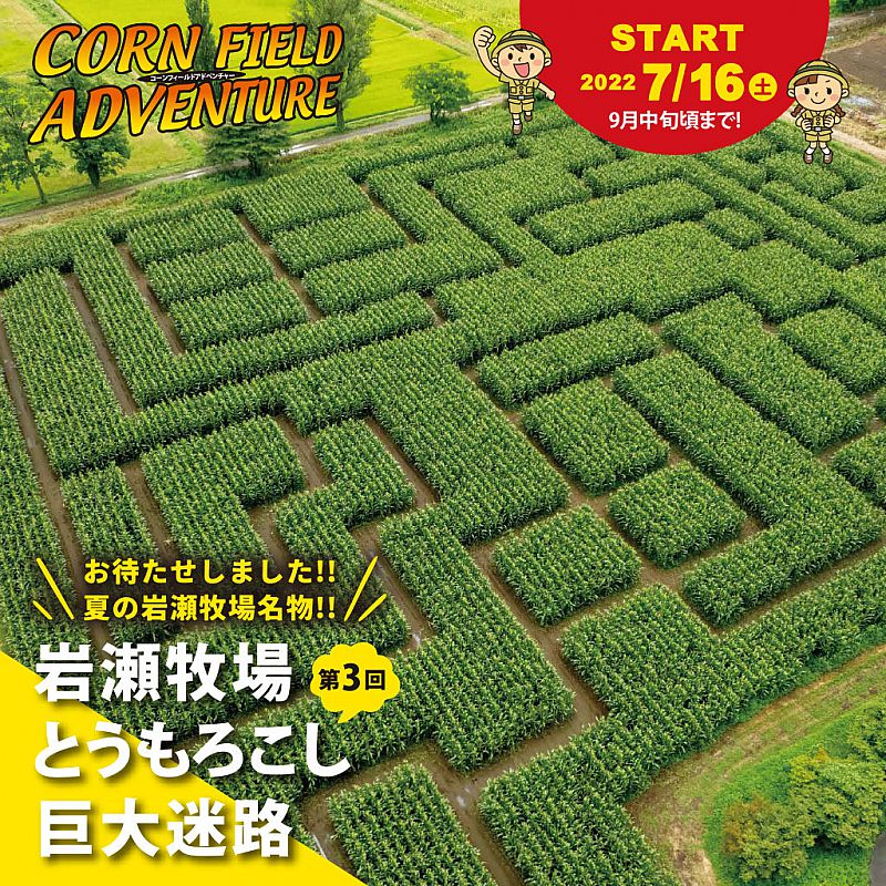 岩瀬牧場に東北最大級の「とうもろこし巨大迷路」が登場！「かがみいし