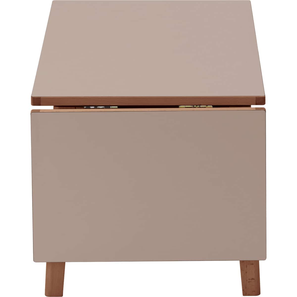 センターテーブル (新しい暮らし方のためのツール by BEAMS DESIGN